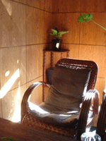 b0046357_21144255.gif