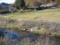 日帰り旅行 ＜第一部　袋田の滝＞_d0007757_2232213.jpg