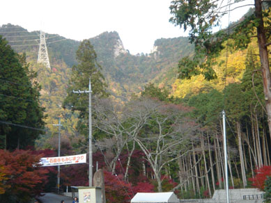 a0004180_23111725.jpg