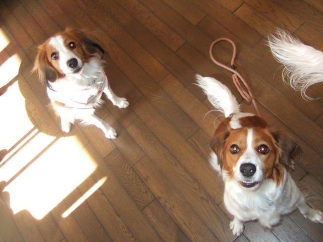 c0075585_093157.jpg
