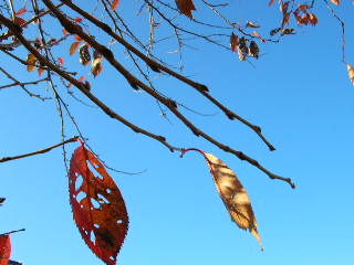 c0029190_20305095.jpg