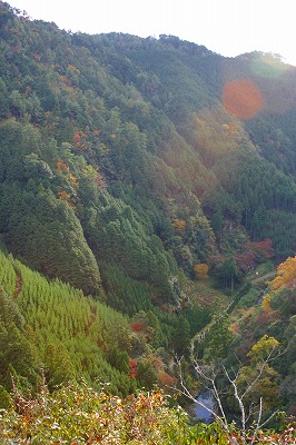 e0061694_1518327.jpg