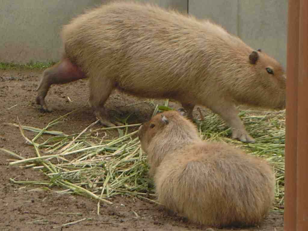 c0011796_19213231.jpg