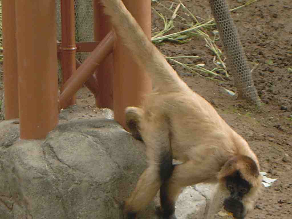c0011796_19224093.jpg