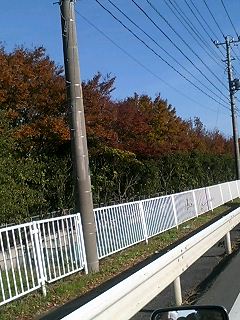 c0027700_14532938.jpg