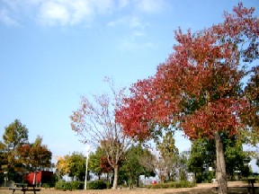 a0040103_20421053.jpg