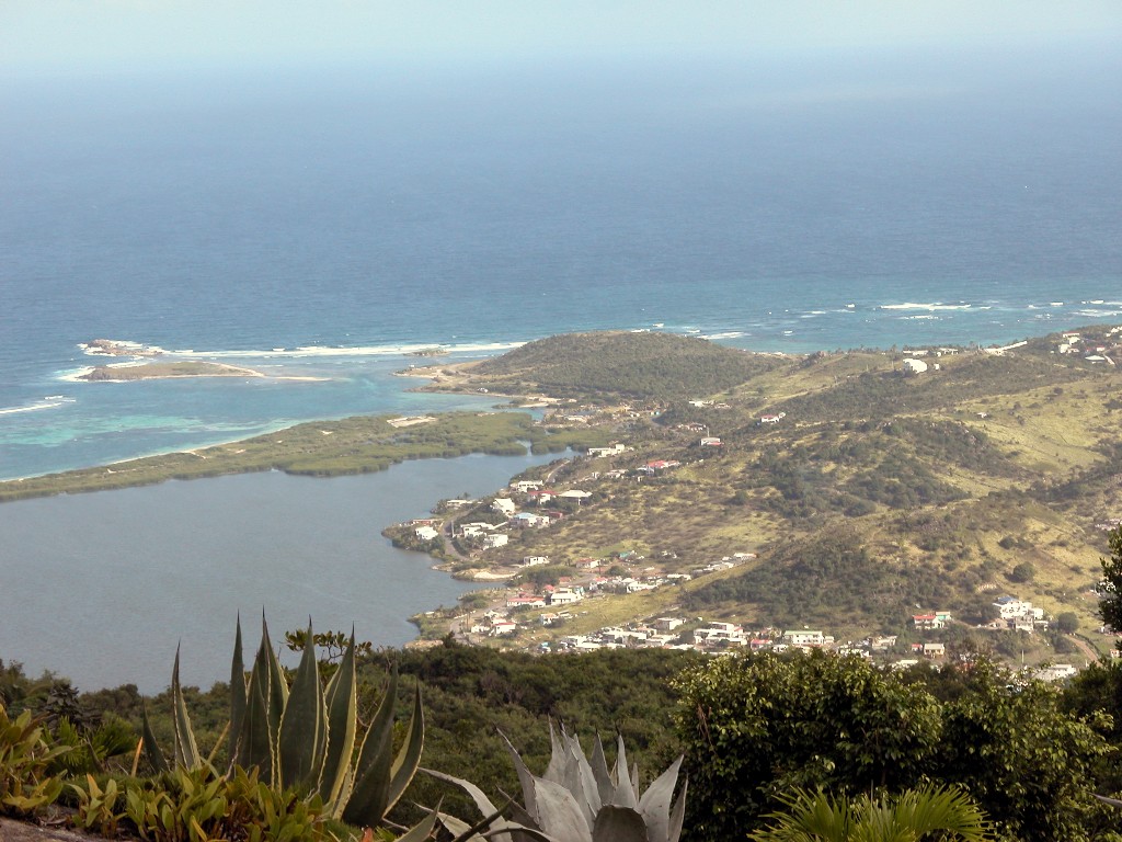 e0015113_8492948.jpg