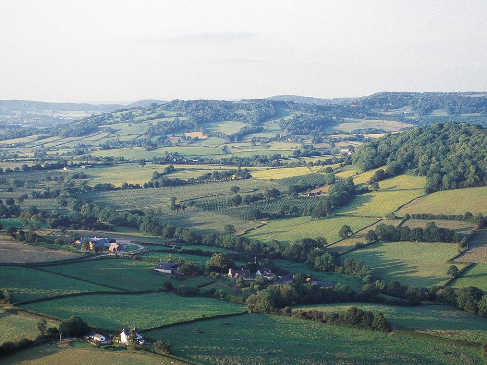 e0015113_852172.jpg