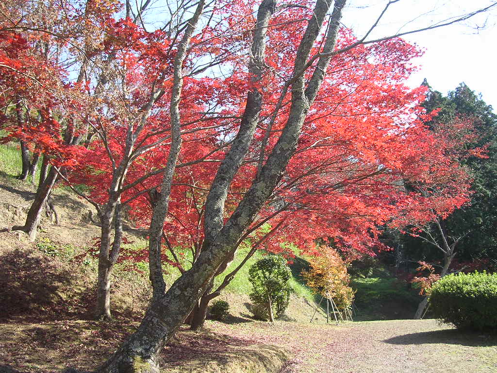 f0000330_1730209.jpg