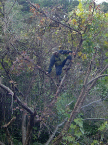 c0042548_2059569.gif