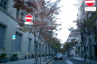 d0006756_1833292.jpg