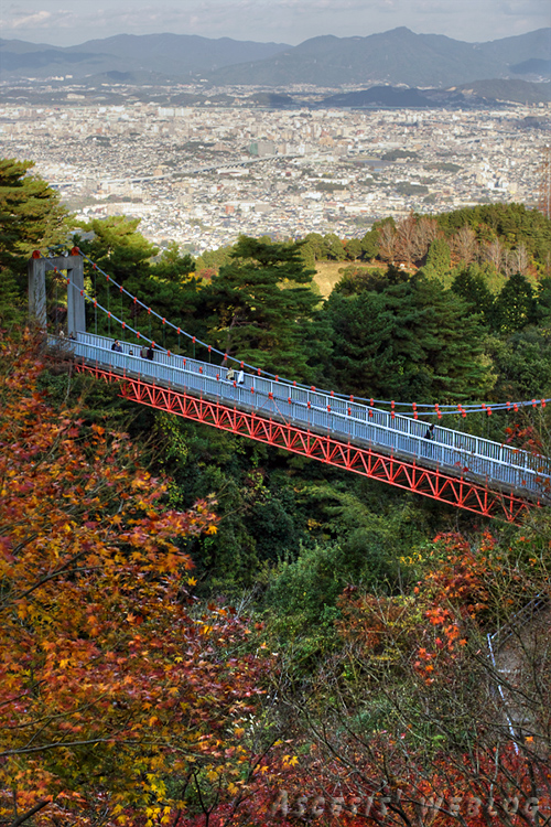 油山の紅葉_c0017665_20404099.jpg