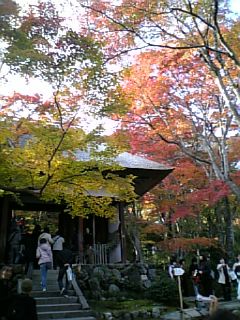 常寂光寺_e0040673_1737422.jpg