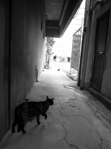 暗黒面(ダークサイド)から_e0082981_18215073.jpg