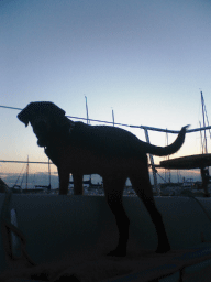 a0066192_19325432.gif
