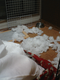 a0066192_19441332.gif
