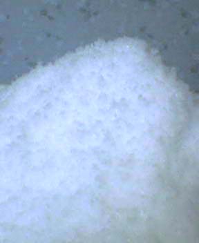 a0045193_927207.jpg