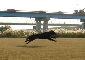 c0040702_1532049.jpg