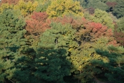 d0052904_1032685.jpg