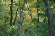 d0052904_10342473.jpg