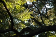 d0052904_1093778.jpg