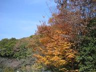 e0087805_23545114.jpg