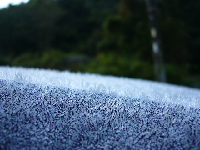 e0015108_1572332.jpg