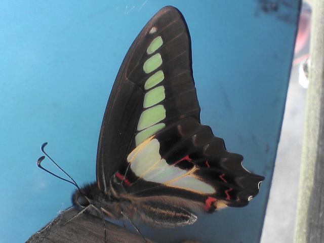 b0048509_5113093.jpg