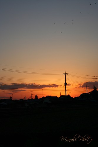 e0080212_22442022.jpg
