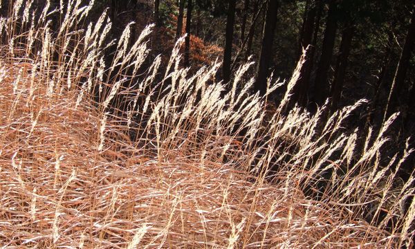 c0073016_23491138.jpg
