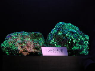 d0045626_22385097.jpg
