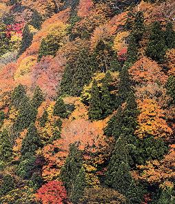 a0051128_7503760.jpg