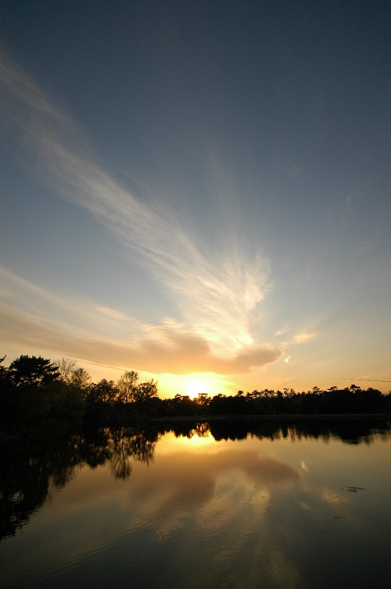 b0069128_2155130.jpg