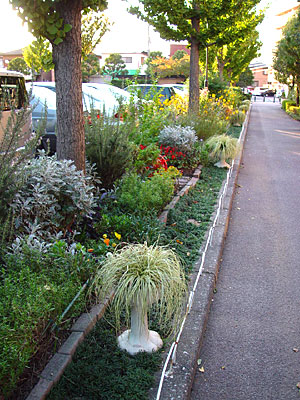 e0001735_11365014.jpg