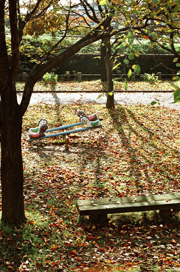 e0006242_11504475.jpg