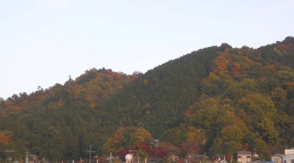 a0064449_16534013.jpg