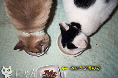 これなら、食べるー！_e0031853_110573.jpg