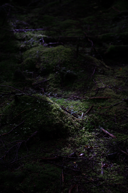c0032494_735163.jpg