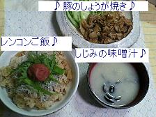 ふーちゃんの健診＆おすすめレンコンご飯！_e0038197_16452675.jpg