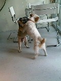 RISA&POCCIにて_a0050302_0411515.jpg