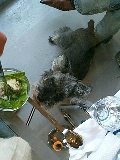 RISA&POCCIにて_a0050302_0414221.jpg