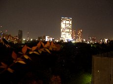 b0025604_0261227.jpg