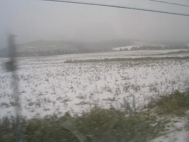 b0050805_043165.jpg
