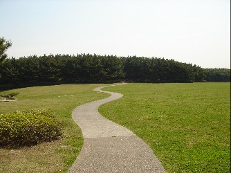a0037910_123121.jpg