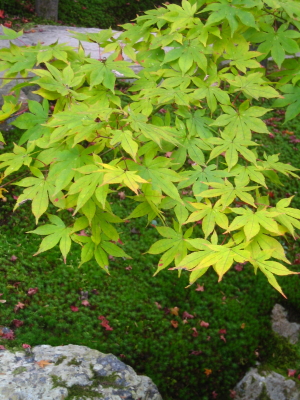d0047811_20451777.jpg