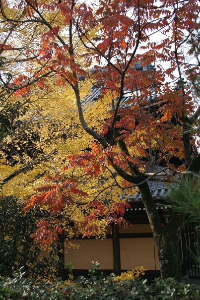 b0018112_10182856.jpg