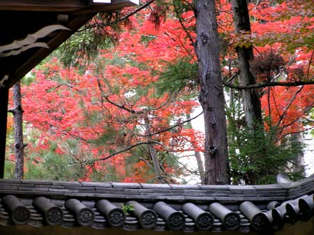 大徳寺　龍翔院　_e0048413_2342916.jpg