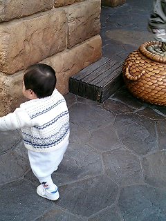 d0001854_1692825.jpg
