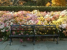 a0027277_6451530.jpg