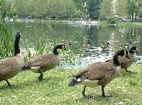 a0027277_6463440.jpg